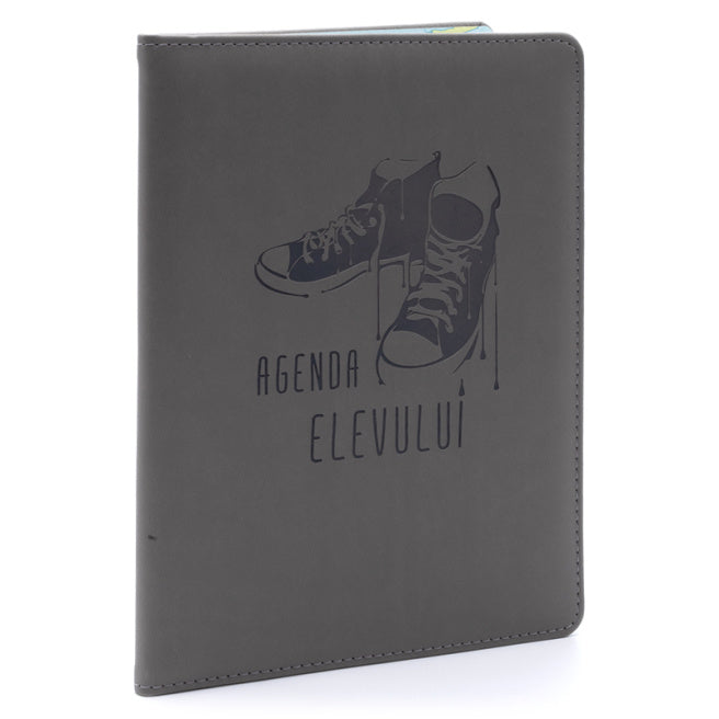 Agenda elevului IDEE