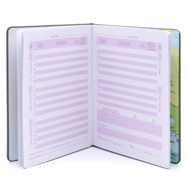 Agenda elevului IDEE