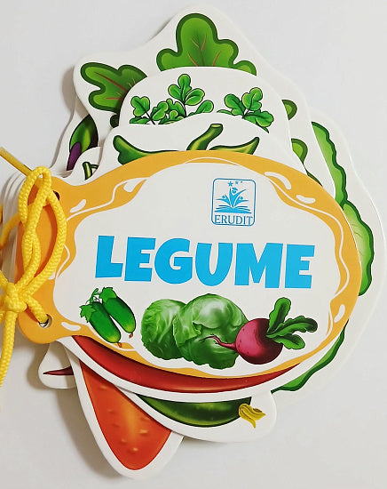 Carte cu siret. "ERUDIT"