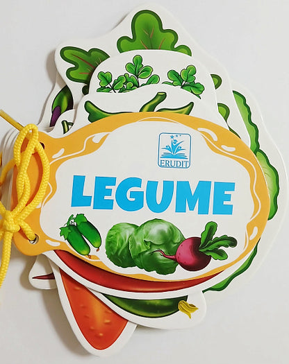 Carte cu siret. "ERUDIT"