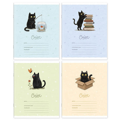 Caiet 12 foi linie